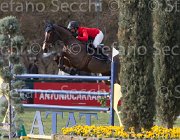 De Simone Teddy TosTour 2013- S5 7693 : Arezzo Equestrian Centre, De Simone Rossella, Teddy, Toscana Tour 2013, foto di Stefano Secchi ©